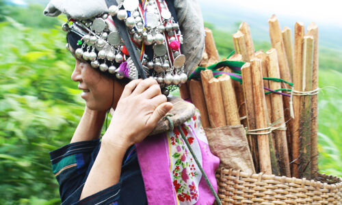 Muang Sing Ethnic Red Dzao Wom